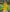 Lemon Yellow Embroidered Linen Maxi Dress | ZALXNDRA