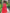 Scarlet Red Embroidered Linen Maxi Dress | ZALXNDRA