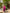 Deep Fuchsia Embroidered Linen Maxi Dress | ZALXNDRA