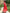 Scarlet Red Embroidered Linen Maxi Dress | ZALXNDRA