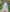 White Embroidered Linen Maxi Dress | ZALXNDRA
