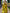 Lemon Yellow Embroidered Linen Maxi Dress | ZALXNDRA