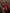 Robe longue en lin corail | ZALXNDRA