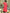 Coral Embroidered Linen Maxi Dress – Balloon Sleeves | ZALXNDRA