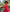 Coral Embroidered Linen Maxi Dress – Balloon Sleeves | ZALXNDRA