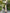 White Embroidered Linen Maxi Dress – Balloon Sleeves || ZALXNDRA