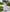 White Embroidered Linen Maxi Dress – Balloon Sleeves || ZALXNDRA