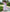 White Embroidered Linen Maxi Dress – Balloon Sleeves | ZALXNDRA