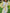 White Embroidered Linen Mini Dress – Balloon Sleeves | ZALXNDRA