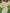 White Embroidered Linen Mini Dress – Balloon Sleeves | ZALXNDRA
