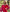 Scarlet Red Embroidered Linen Maxi Dress – Balloon Sleeves