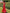 Coral Embroidered Linen Maxi Dress | ZALXNDRA