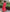 Coral Embroidered Linen Maxi Dress | ZALXNDRA