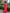 Coral Embroidered Linen Maxi Dress | ZALXNDRA