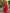 Scarlet Red Embroidered Linen Mini Dress – Balloon Sleeves