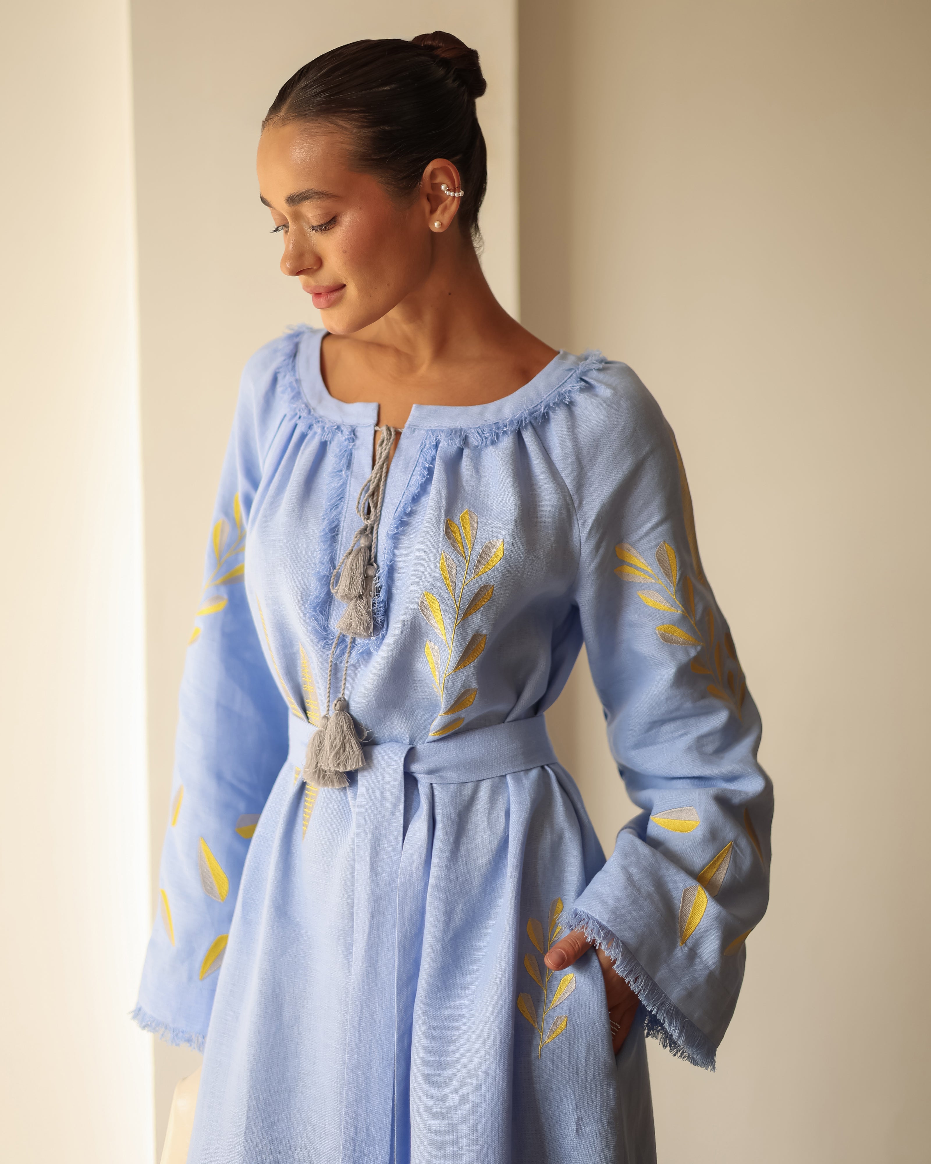 Powder Blue Embroidered Linen Maxi Dress | ZALXNDRA