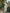 White Embroidered Linen Maxi Dress – Balloon Sleeves || ZALXNDRA