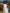 White Embroidered Linen Dress | ZALXNDRA