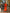 Pumpkin Orange Embroidered Linen Maxi Dress – Balloon Sleeves