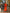 Pumpkin Orange Embroidered Linen Maxi Dress – Balloon Sleeves