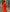 Pumpkin Orange Embroidered Linen Maxi Dress – Balloon Sleeves
