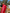 Scarlet Red Embroidered Linen Maxi Dress | ZALXNDRA