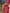 Scarlet Red Embroidered Linen Maxi Dress | ZALXNDRA