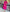 Fuchsia Embroidered Linen Maxi Dress | ZALXNDRA