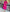Fuchsia Embroidered Linen Maxi Dress | ZALXNDRA