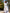 White Embroidered Linen Maxi Dress – Balloon Sleeves || ZALXNDRA