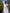 White Embroidered Linen Maxi Dress – Balloon Sleeves | ZALXNDRA