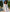 White Embroidered Linen Maxi Dress – Balloon Sleeves || ZALXNDRA