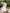 White Embroidered Linen Maxi Dress – Balloon Sleeves || ZALXNDRA