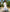 White Embroidered Linen Maxi Dress – Balloon Sleeves || ZALXNDRA