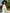 White Embroidered Linen Maxi Dress – Balloon Sleeves || ZALXNDRA