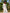 White Embroidered Linen Maxi Dress – Balloon Sleeves || ZALXNDRA