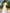 White Embroidered Linen Maxi Dress – Balloon Sleeves || ZALXNDRA