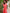 Coral Embroidered Linen Maxi Dress – Balloon Sleeves | ZALXNDRA