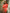 Coral Embroidered Linen Mini Dress – Balloon Sleeves | ZALXNDRA