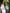 White Embroidered Linen Dress | ZALXNDRA