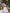 White Embroidered Linen Dress || ZALXNDRA
