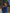 Royal Blue Embroidered Linen Dress | ZALXNDRA