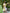 White Embroidered Linen Maxi Dress – Balloon Sleeves || ZALXNDRA