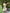 White Embroidered Linen Maxi Dress – Balloon Sleeves | ZALXNDRA